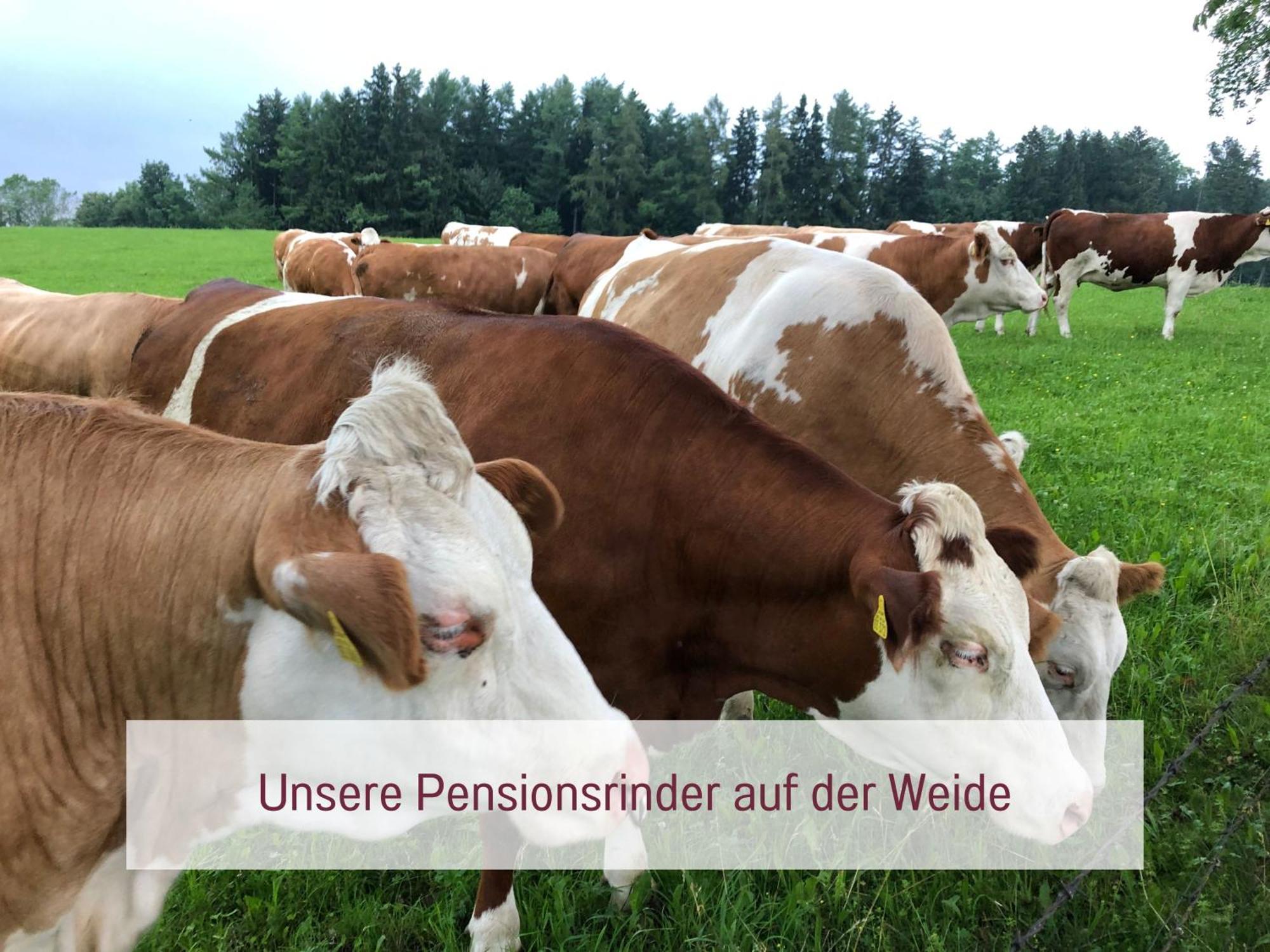 Designerwohnungen "Beim Schmied" In Chiemseenaehe Traunreut Exterior photo
